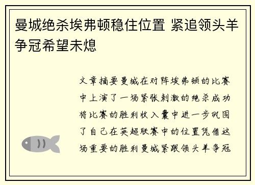 曼城绝杀埃弗顿稳住位置 紧追领头羊争冠希望未熄